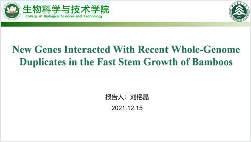 探索生命奥秘 生物科学技术的研究前沿与意义