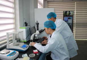 中美联合研发生物酶降解蔬菜水果农残保鲜技术获重大突破 生物科学技术研究迈向新台阶