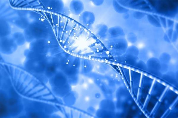 跨学科视角下的智能超表面与生物科学技术 从中国移动联合崔铁军院士团队试验谈起